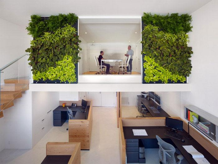 Research Shows Intelligent Green Design Linked to Multiple Health Benefits