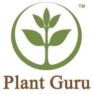 Aromatherapy Oils & Organic Products - Plant Guru 