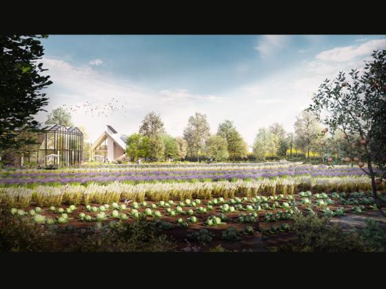 The World’s First Artificial Intelligence Managed Eco-Village Will be Built in Netherlands