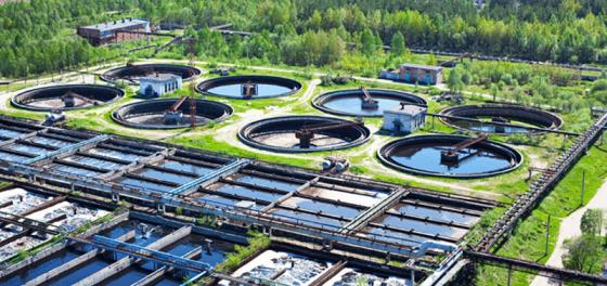 Transform Sewage Sludge To a Source of Green Energy