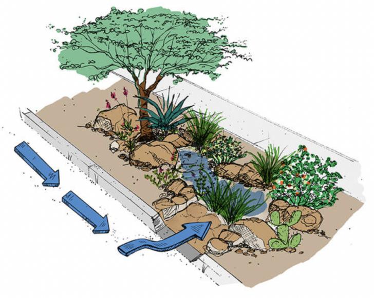 stormwater management, water infrastructure systems, rain water collection, urban planning