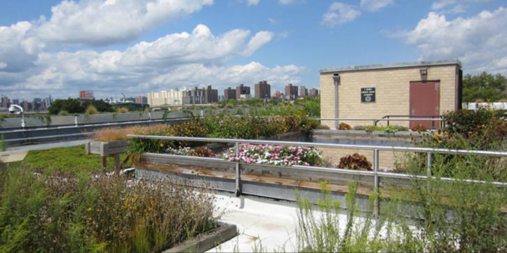 Free Event: Panel Discussion: Permaculture and Urban Eco-System Design, 4/3, 6:00 PM – 8:00 PM, New York