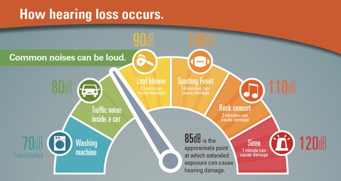 Noise Pollution - Understanding the Risks and Effects in Work and Everyday Life Noise Pollution - Understanding the Risks and Effects in Work and Everyday Life