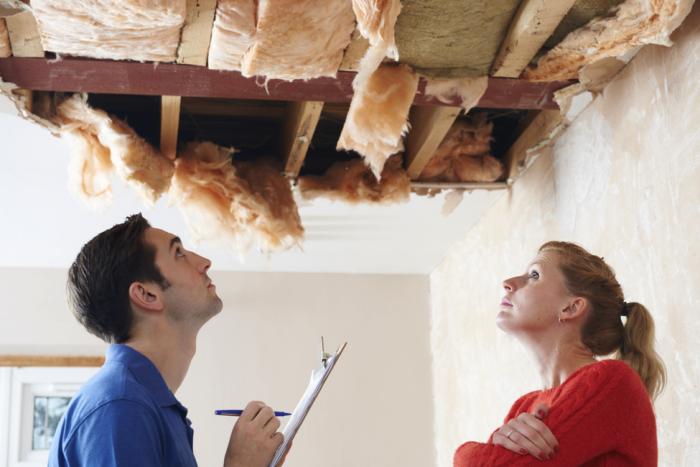 Choosing the Right Insulation for Your Green Home Project Choosing the Right Insulation for Your Green Home Project