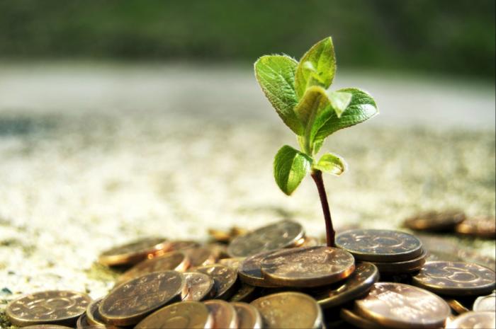 Top Ways Green Building Helps Companies Go Green Top Ways Green Building Helps Companies Go Green