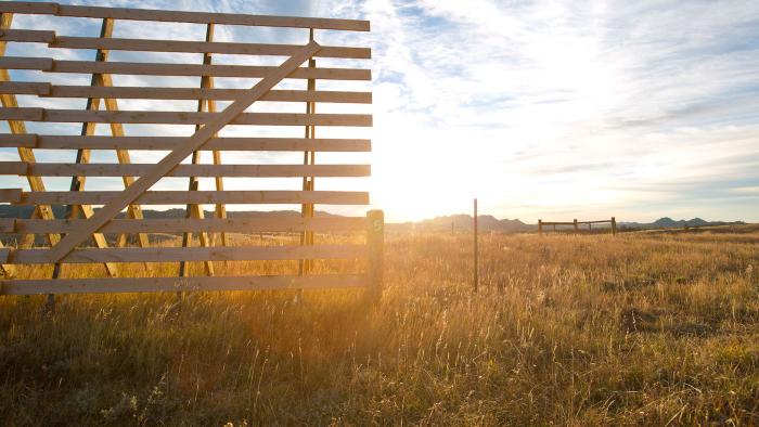 5 Sustainable Building Materials Changing the Way We Build