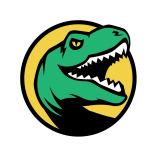 Raptor Plumbing & Sewer