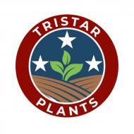 Tristar Plants