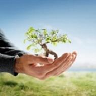 USA Tree Service LLC USA Tree Service LLC