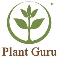 Aromatherapy Oils & Organic Products - Plant Guru Aromatherapy Oils & Organic Products - Plant Guru
