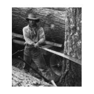 Ron Trout Sawmill Service