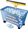 TotalWindowCleaning