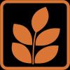 SOLARWISE LLC - Natural Building & Design