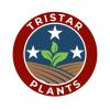 Tristar Plants