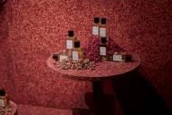 Organoid