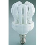 Evolution CFL