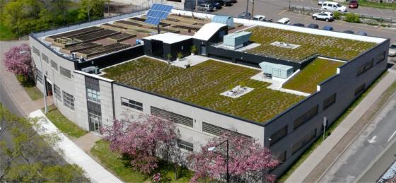 If Green Roofs Cover 30 Percent of Roof Space by 2050 and Cool Roofs Cover 60 Percent, 800 Megatons of Carbon Dioxide Emissions Will be Reduced and $3 Trillions Will Be Saved