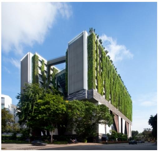 Leading businesses back 2050 Net Zero goal for buildings Leading businesses back 2050 Net Zero goal for buildings