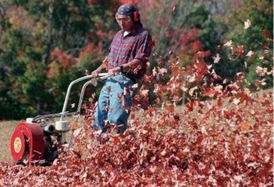 Leaf Blower Bans and other Noise Pollution Limits On the Rise Leaf Blower Bans and Noise Pollution Limits On the Rise
