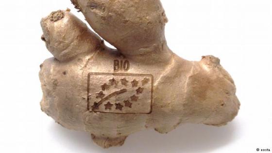 An Alternative to Plastic Food Packaging: Laser Marks on the Ware An Alternative to Plastic Food Packaging: Laser Marks on the Ware