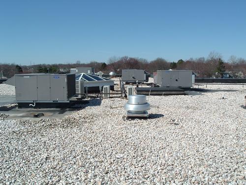 Introducing Berkeley Green Group, Rochester, NY Introducing Berkeley Green Group, Rochester, NY