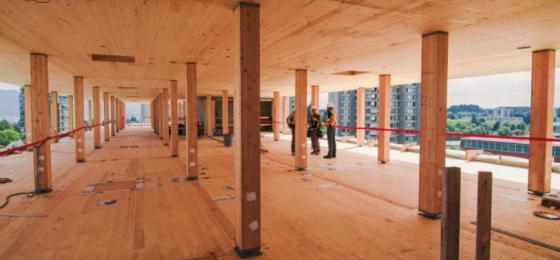 The Emergence of Mass Timber for Urban Building Projects The Emergence of Mass Timber for Urban Building Projects - 1