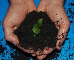 Composting 101: Tips for Everyday Composting at Home (You Can Do It!) Composting 101: Tips for Everyday Composting at Home (You Can Do It!)