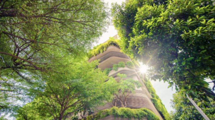 Energy Efficiency: Educators, Online Workshop, November 7, 1 - 4 pm BST (UK)