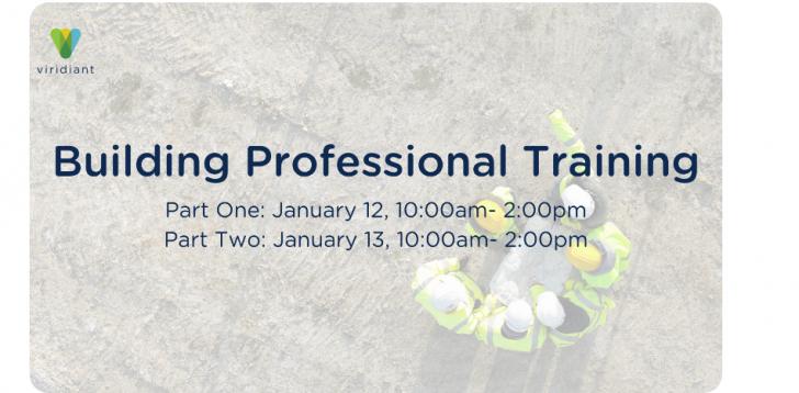 Building Professional Training (Online Live Webinar)