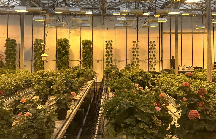 Free PG&E Webinar, Indoor Agriculture Resiliency, June 12
