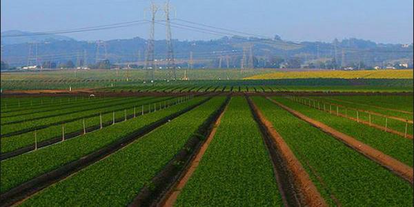  "California Climate Policies - Local and Global Leadership?" Wednesday, 10/11. 5:45-8:45pm, San Francisco