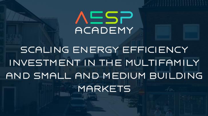 Scaling Energy Efficiency Investment in the Multifamily and Small and Medium Building Markets, Online, June 16, 2 - 4 pm ET