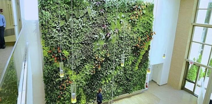 technology, installation, architecture, living walls