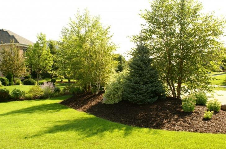 Free Webinar: Plant Talk Episode #12: Your Landscape Questions Answered, December 5