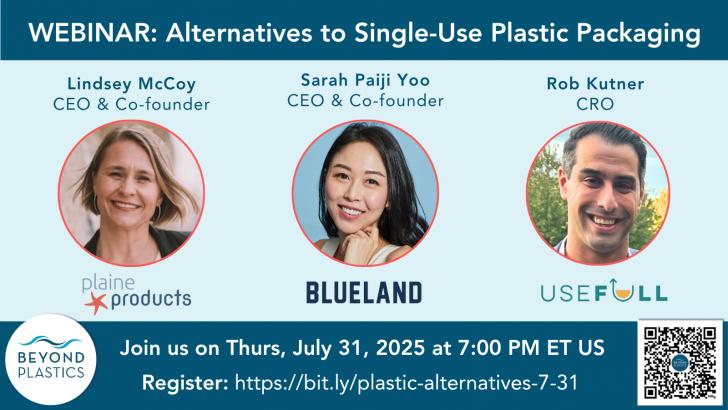 Excellent Alternatives to Plastic Packaging