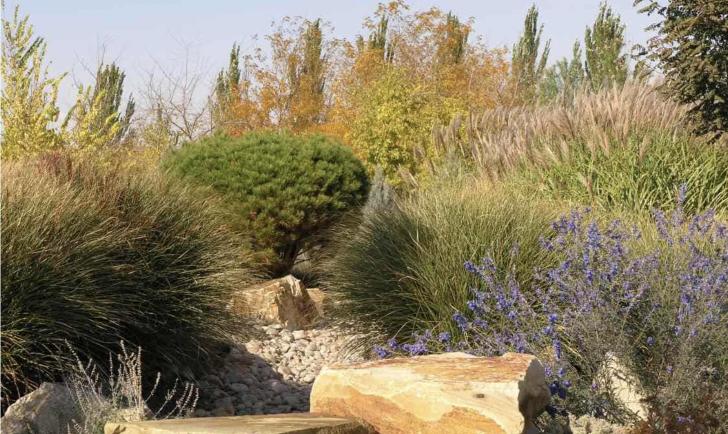 Plant Talk: Your Landscape Questions Answered, September 23