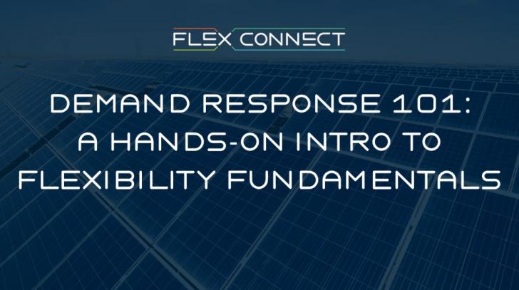 Demand Response 101: A Hands-On Intro to Flexibility Fundamentals, September 1 , 1 - 3 pm ET