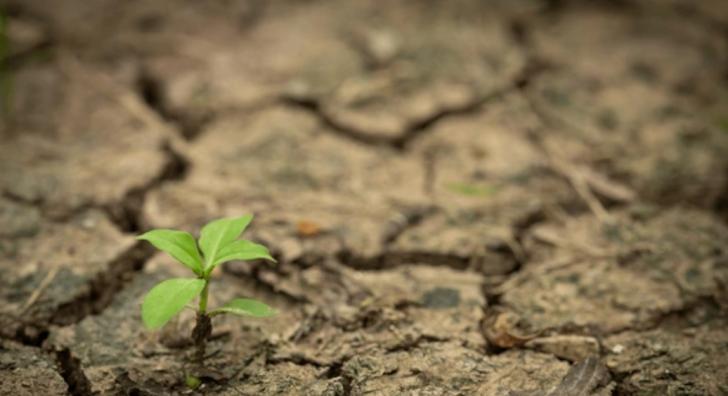 We Need to Talk: What if Staying is No Longer an Option?, Hybrid Event, December 12, Boston, Massachusetts