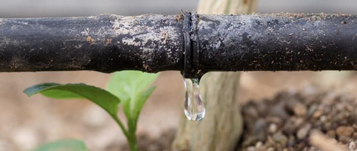 drip irrigation, sustainable architecture, landscape, conservation