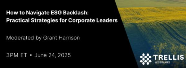 How to Navigate ESG Backlash: Practical Strategies for Corporate Leaders