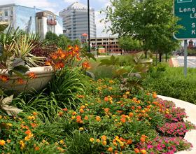 Delaware Center for Horticulture - Initiatives for a Greener Building, July 20, Wilmington