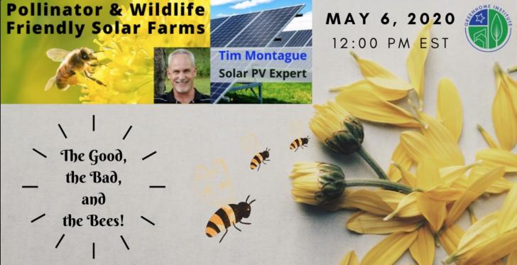 Pollinator & Wildlife Friendly Solar Farms
