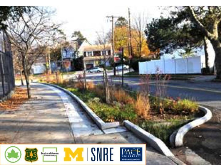 Free Event: Community Resilience through Green Infrastructure, 2/21, 6:00 - 8:00PM, Pace University, NY