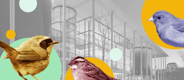 Bird-Friendly Building: Designing Safer Buildings for Birds, April 18