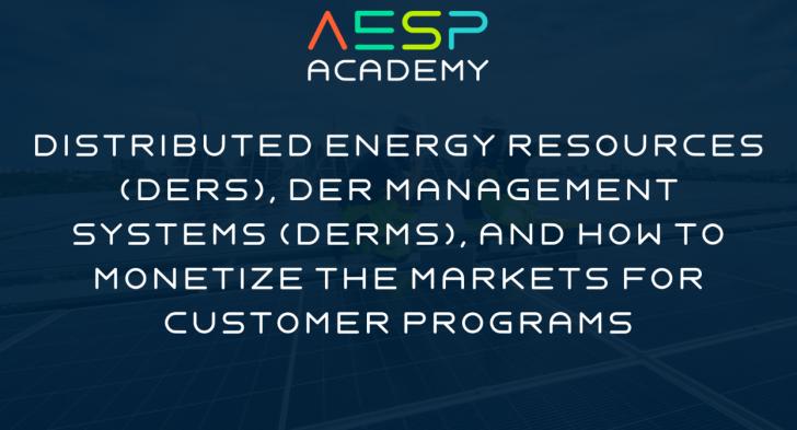 Distributed Energy Resources (DERs), DER Management Systems (DERMS), and How to Monetize the Markets for Customer Programs, June 30, 12 - 4 pm ET