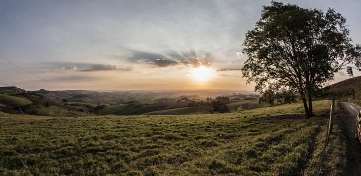 USGBC Georgia: The Green Awakening and Your Building's CO2 Footprint