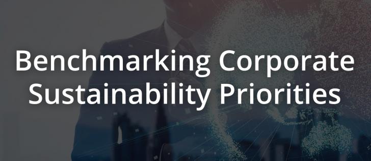 Benchmarking Corporate Sustainability Priorities in Challenging Times