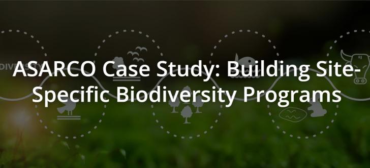 ASARCO Case Study: Building Site-Specific Biodiversity Programs, Online, November 17, 2 - 3 pm ET
