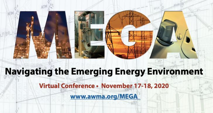 Virtual Conference: MEGA Navigating the Emerging Energy Environment