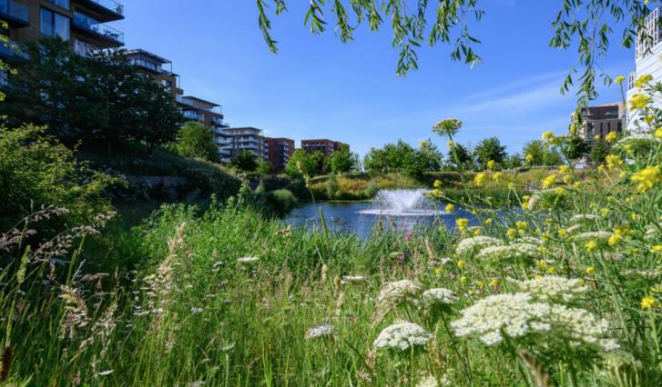 Park Tour on How to Use Nature in Green Building and cities